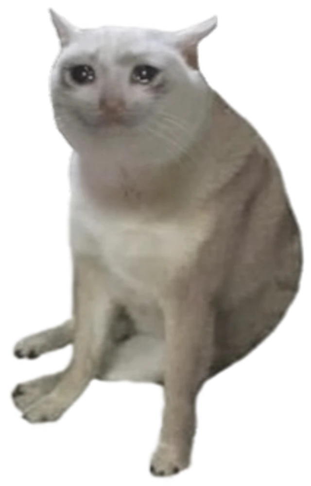 Grey CASHCAT, the original